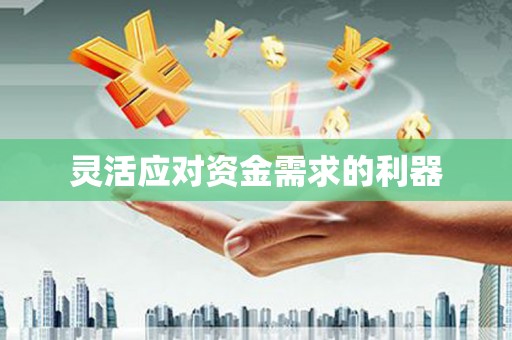 玛曲灵活应对资金需求的利器