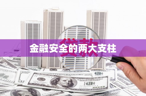 玛曲金融安全的两大支柱