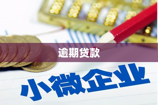 玛曲逾期贷款