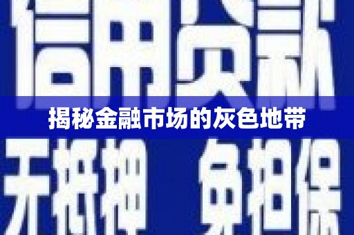 玛曲揭秘金融市场的灰色地带