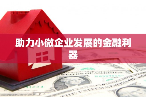 玛曲助力小微企业发展的金融利器