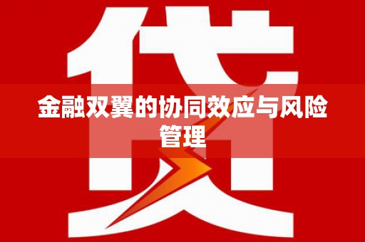 玛曲金融双翼的协同效应与风险管理