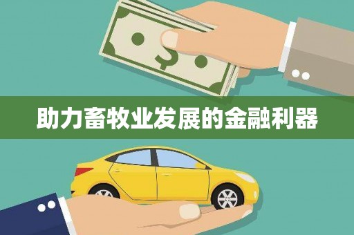 玛曲助力畜牧业发展的金融利器