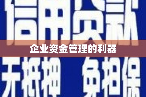 玛曲企业资金管理的利器