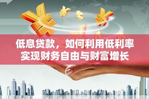 玛曲低息贷款，如何利用低利率实现财务自由与财富增长