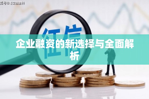 玛曲企业融资的新选择与全面解析