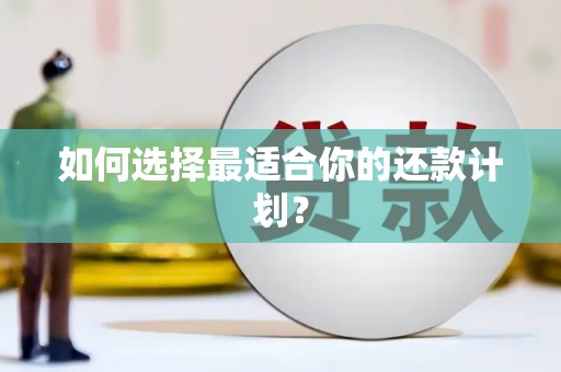 玛曲如何选择最适合你的还款计划？