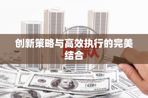 玛曲创新策略与高效执行的完美结合