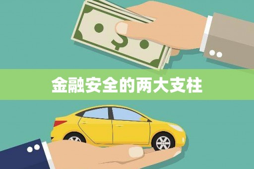 玛曲金融安全的两大支柱