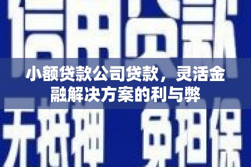 玛曲小额贷款公司贷款，灵活金融解决方案的利与弊