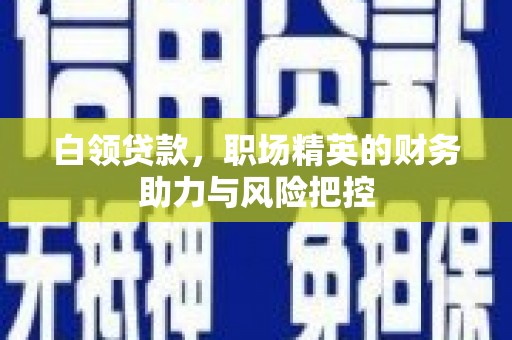 玛曲白领贷款，职场精英的财务助力与风险把控