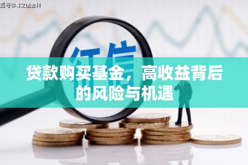 玛曲贷款购买基金，高收益背后的风险与机遇
